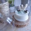 Bougie Cloche Sapin de Noel sur Socle en Bois