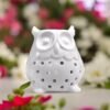 4844836-47e9027498d67f Coffret Brûle Parfum Hibou et Fondants Parfumés