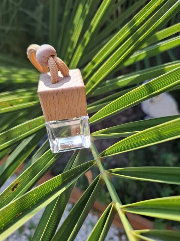 Diffuseurs de voiture 8ml