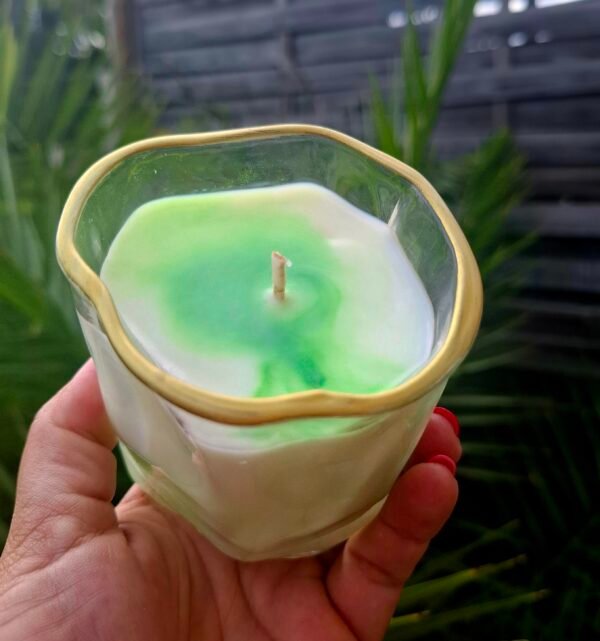 20250911_151048 Bougie Génépi