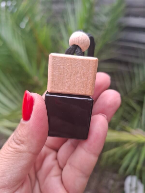 20250911_162716 Diffuseurs de voiture Monoi Pêche