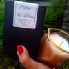 Bougie Cèdre du Liban