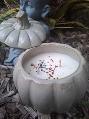 20250912_074003 Bougie Citrouille Adoucissant