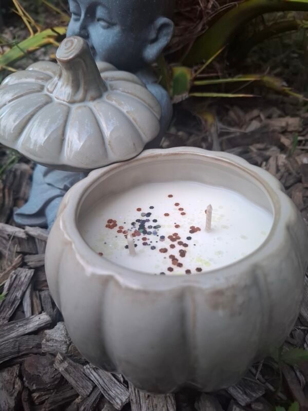 20250912_074003 Bougie Citrouille Adoucissant