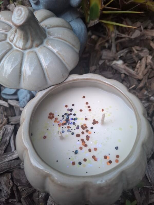 20250912_074007 Bougie Citrouille Adoucissant