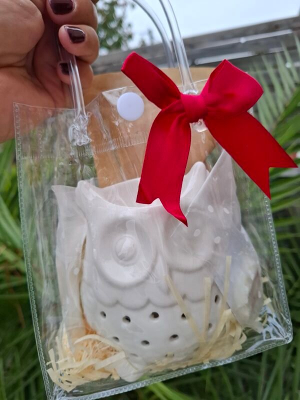 hiboux Coffret Brûle Parfum Hibou et Fondants Parfumés