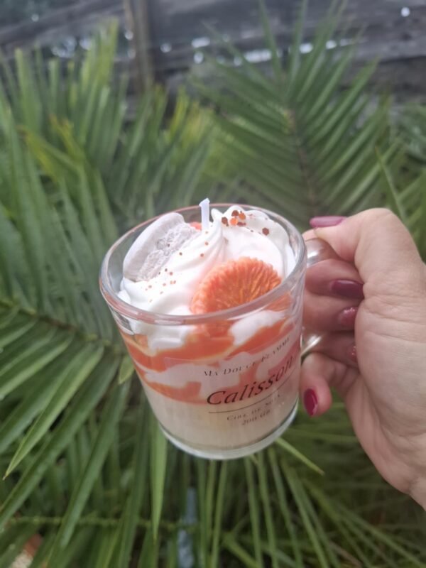 e54feff8-a334-4473-8d46-ef66f5730142 Bougie Calisson