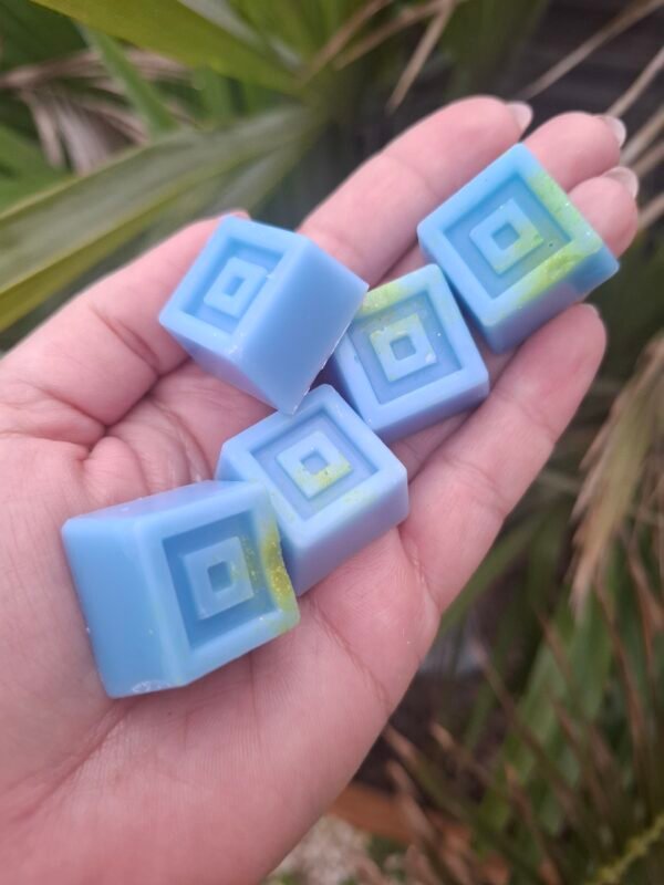 Fondants Parfumés box "Monoï des îles"